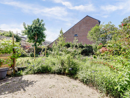 Tijberg 55