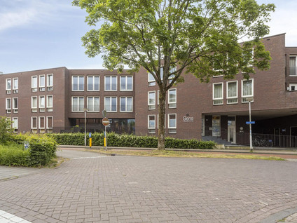 Boomstraat 124