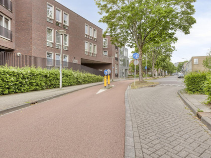 Boomstraat 124