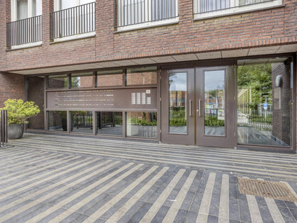 Boomstraat 124