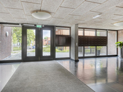 Boomstraat 124