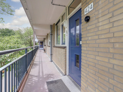 Van Oldenbarneveltstraat 424