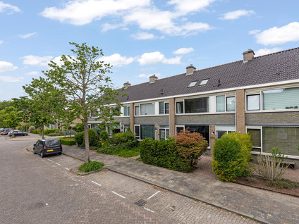 Wittebrem 32