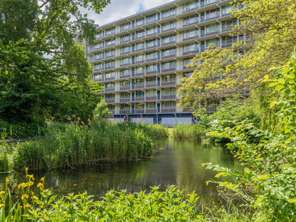 Condorhorst 19