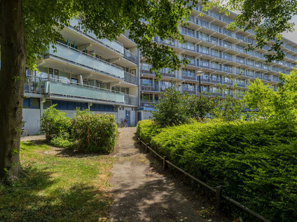 Condorhorst 19