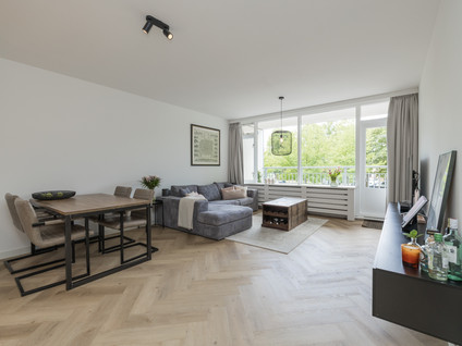 Condorhorst 19