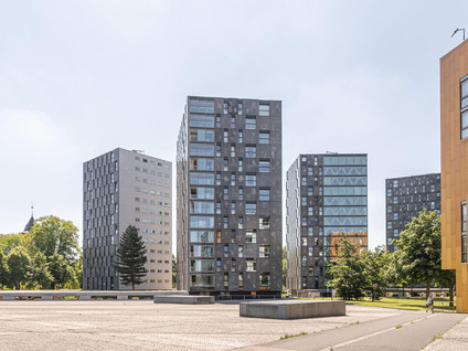 Nonnenveld 481