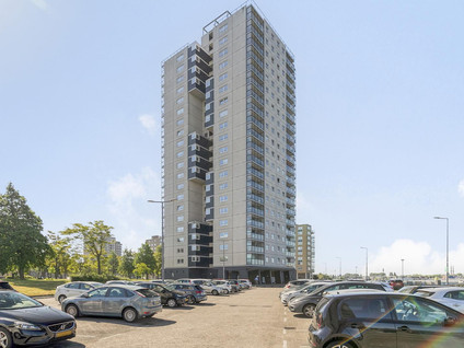 Buitenbassinweg 342