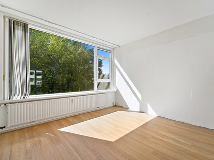 Louis Davidsstraat 229