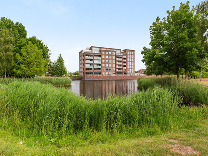 Palissanderhout 78