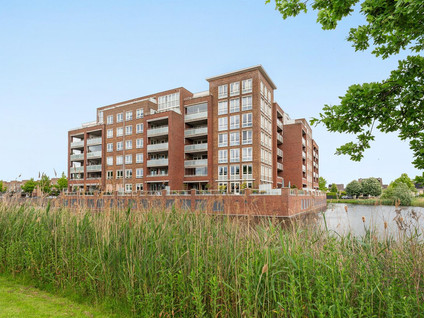 Palissanderhout 78
