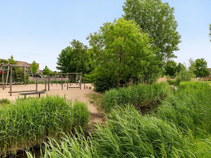 Palissanderhout 78