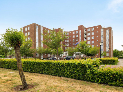 Palissanderhout 78