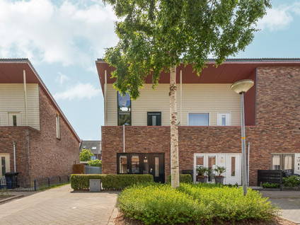 Brancusistraat 22