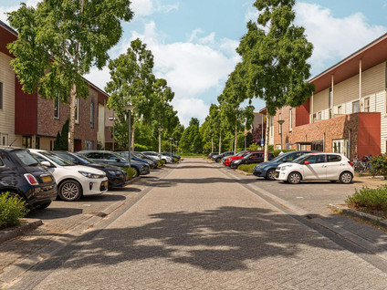Brancusistraat 22