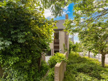 Domela Nieuwenhuisstraat 14