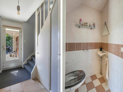 Tholen 8