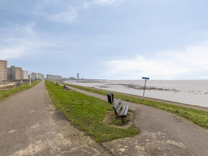 Pattistpark 169