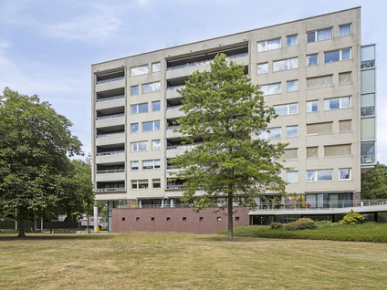 Magentahof 44
