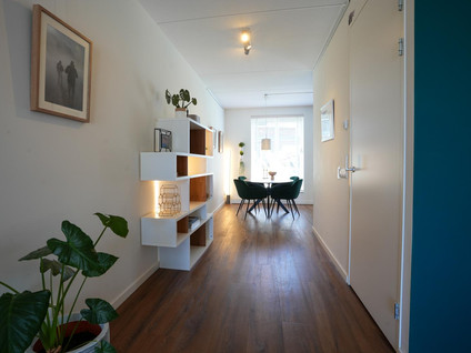 Van Cosselaerstraat 47