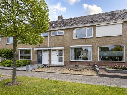 Wieling 61