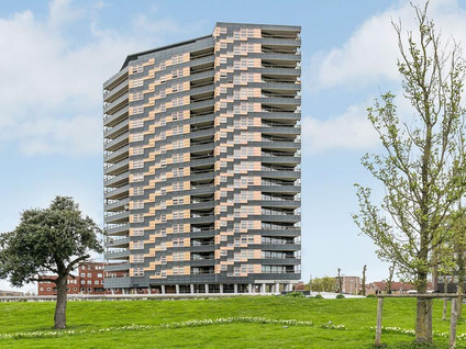 Ecuplein 60
