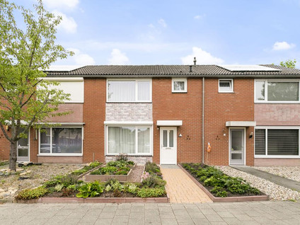 Olmenstraat 41