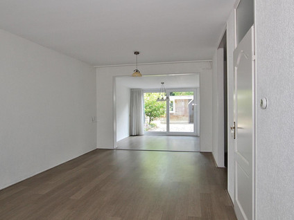 Olmenstraat 41