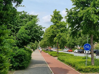 Burgemeester De Zeeuwstraat 27