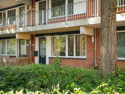 Hondsrug 249