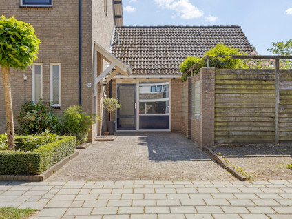 Steurstraat 53