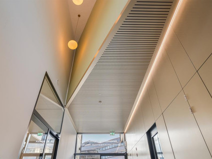 Mies van der Rohestraat 29