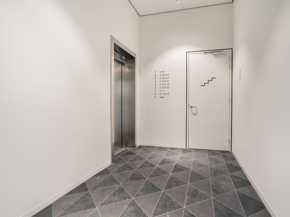 Mies van der Rohestraat 29
