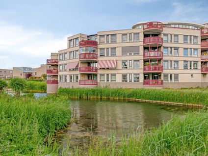 Kamilleveld 38