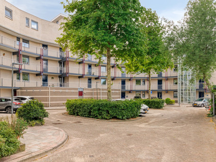 Kamilleveld 38