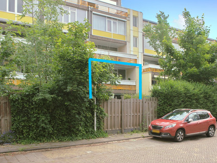 Montgomerylaan 42