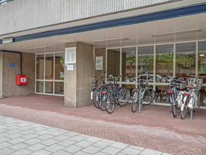 Aert van Neslaan 243
