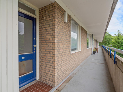 Aert van Neslaan 243