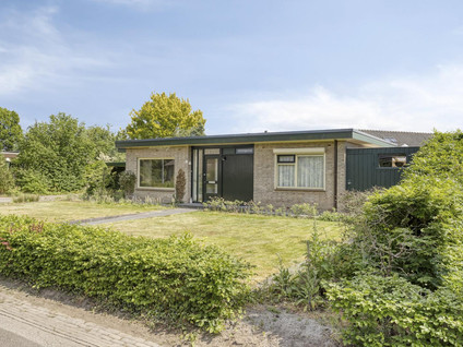 Mimosaweg 8