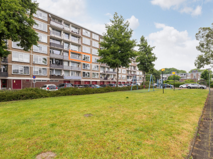 Schipbeekstraat 242