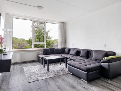 Schipbeekstraat 242