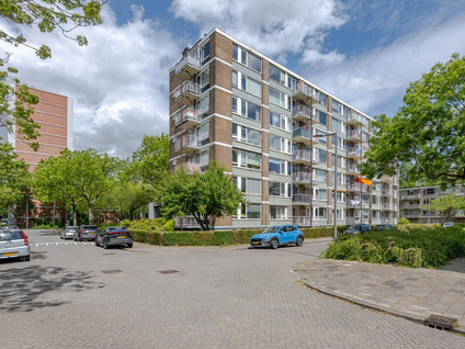 Zandkreek 62