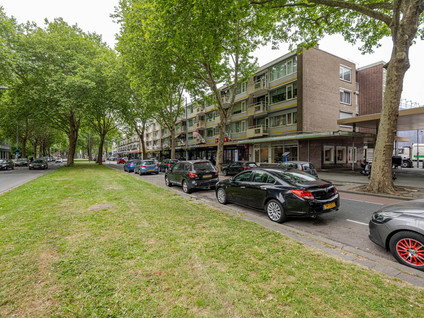 Goudestein 162