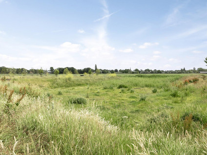 Zomerappel 25