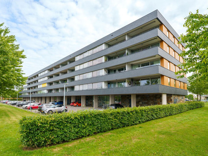 Grootzeil 282