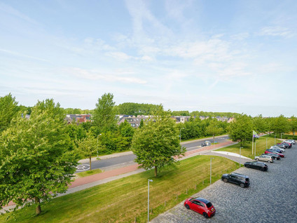 Grootzeil 282