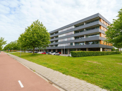 Grootzeil 282