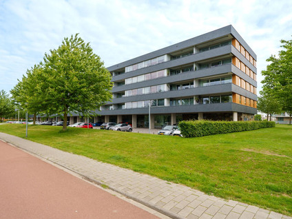 Grootzeil 282