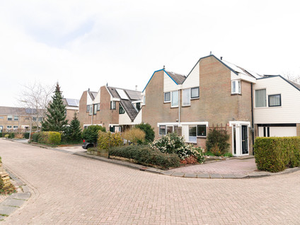 Jonkersfinne 16