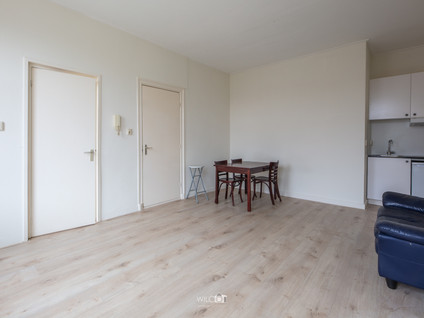 Singel 61